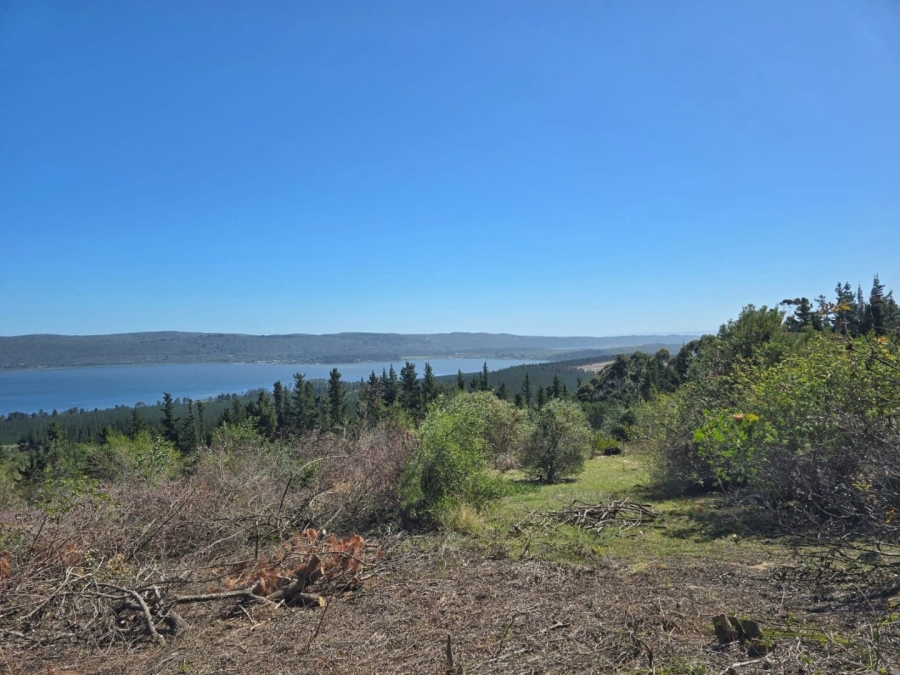 Commercial Property for Sale in Sedgefield Rural Western Cape